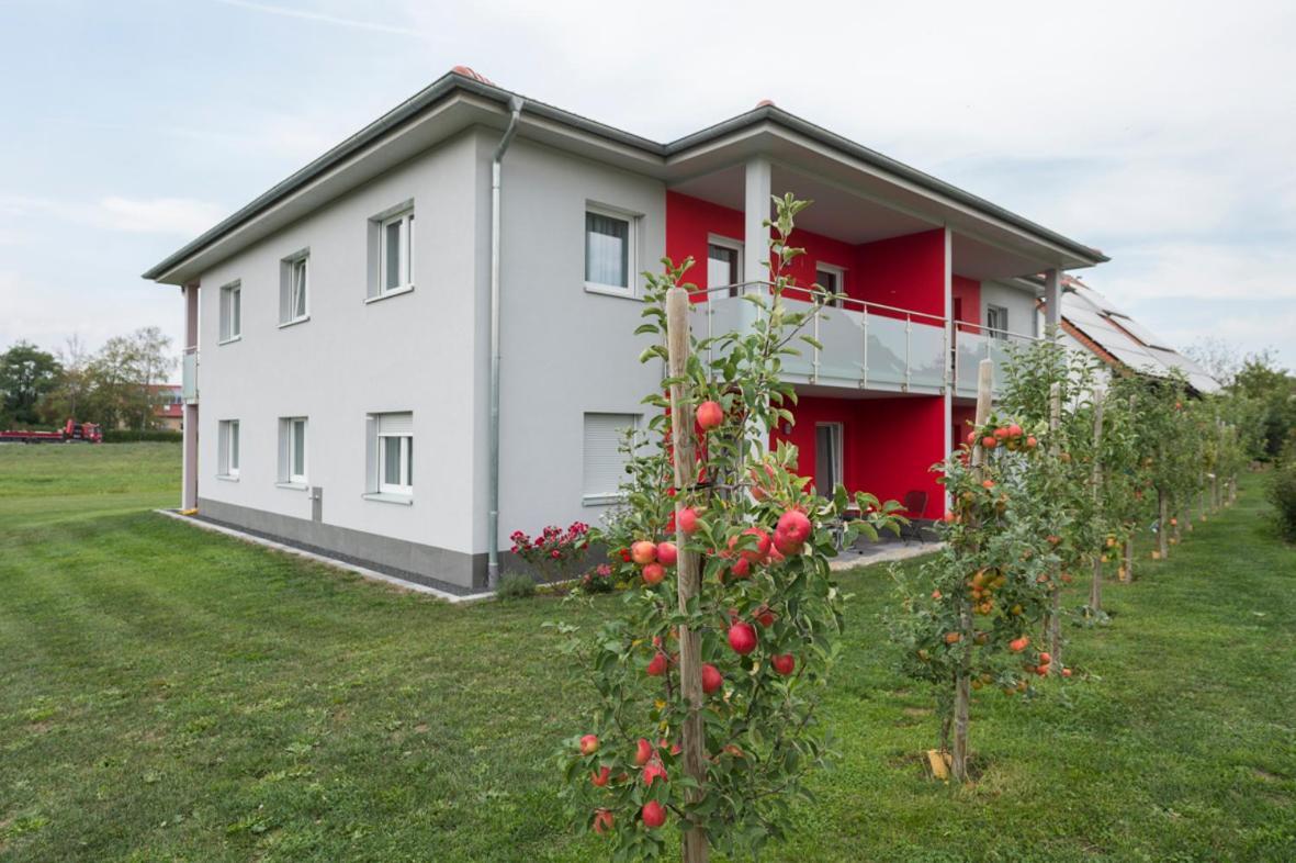 Hofmann'S Apartements & Ferienwohnungen Oberdachstetten Esterno foto